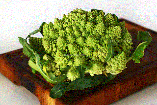 Conopida Romanesco , 1g seminte