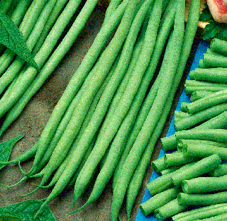Fasolea franceza Bona , 30g seminte