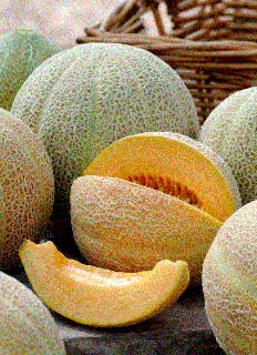Pepene galben Jumbo , 1g seminte