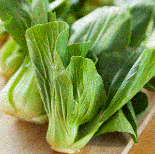 Varza chinezeasca Pak Choi , 1g seminte