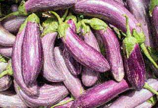 Vinete Tsakoniki , 1g de seminte