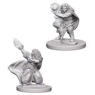 Dungeons and Dragons: Nolzurs Marvelous Unpainted Miniatures - Dwarf Female Wizard