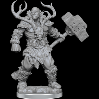 Dungeons  Dragons Frameworks: Goliath Barbarian Male