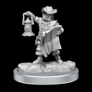 Dungeons  Dragons Frameworks: Male Halfling Rogue