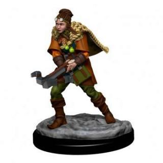Dungeons  Dragons Icons of the Realms Premium Figures: Human Ranger Female