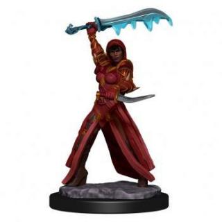 Dungeons  Dragons Icons of the Realms Premium Figures: Human Rogue Female
