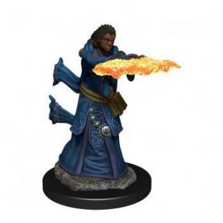 Dungeons  Dragons Icons of the Realms Premium Figures: Human Wizard Female
