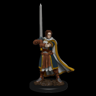 Dungeons  Dragons Icons of the Realms: Premium Painted Figure - Human Cleric Male
