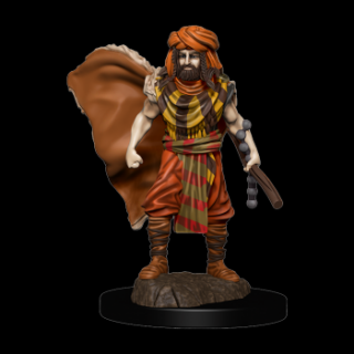 Dungeons  Dragons Icons of the Realms: Premium Painted Figure - Human Druid Male