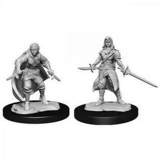 Dungeons  Dragons - Nolzurs Marvelous Miniatures - Half-Elf Rogue Female