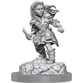 Dungeons  Dragons Nolzurs Marvelous Miniatures: Halfling Rogue Female