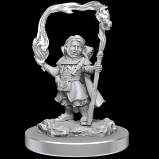 Dungeons  Dragons Nolzurs Marvelous Miniatures: Halfling Wizards