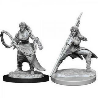 Dungeons  Dragons - Nolzurs Marvelous Miniatures - Human Monk Female