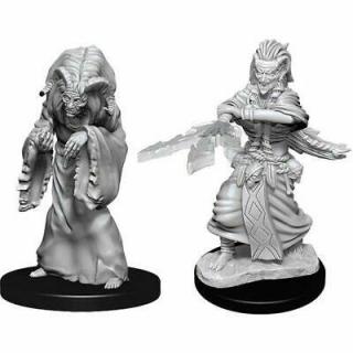 Dungeons  Dragons - Nolzurs Marvelous Miniatures - Night Hag  Dusk Hag