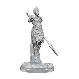 Dungeons  Dragons Nolzurs Marvelous Miniatures: Sea Elf Fighters
