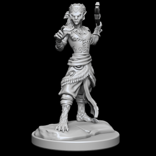 Dungeons  Dragons Nolzurs Marvelous Miniatures: Shifter Fighter