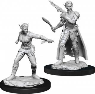 Dungeons  Dragons - Nolzurs Marvelous Miniatures - Shifter Rogue Female