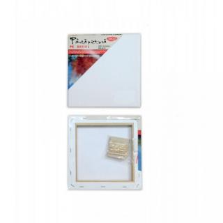 Panza pictura pe sasiu 30x30 cm PZ3030