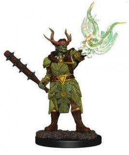 Pathfinder Battles: Premium Painted Figure - Half-Ord Druild Male