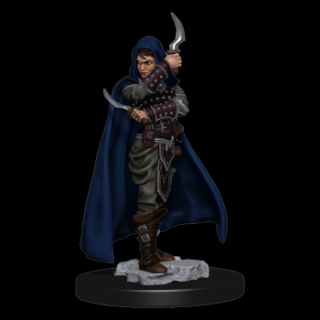 Pathfinder Battles: Premium Painted Figure - Human Rogue Female