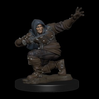 Pathfinder Battles: Premium Painted Figure - Human Rogue Male