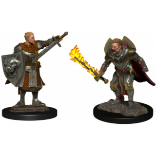 Pathfinder Deepcuts: Human Champion Male