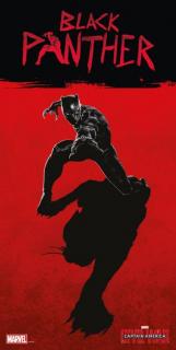 Poster pe sticla Black Panther