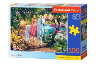 Puzzle 100 piese Printesa pe Unicorn 111114