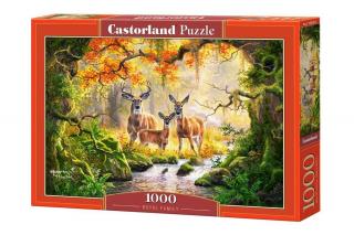 Puzzle 1000 piese Familie Roiala 104253