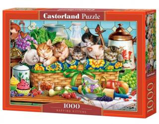 Puzzle 1000 piese Napping Kittens 105069 Castorland