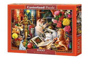 Puzzle 1000 piese Wizard Kittens 104857 Castorland