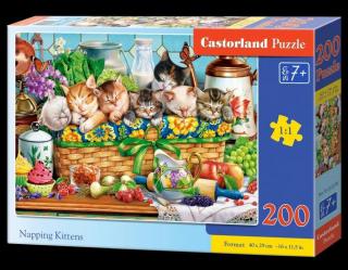 Puzzle 200 piese Napping Kittens 222278 Castorland