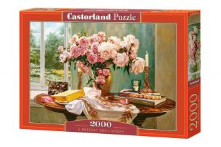 Puzzle 2000 piese Cadou pentru Lindsey 200719