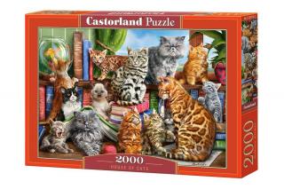 Puzzle 2000 piese Casa cu Pisici 200726