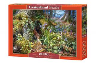 Puzzle 2000 piese In Padure 200764