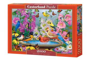 Puzzle 2000 piese Rhythm of Nature 200818 Castorland