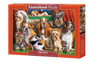 Puzzle 3000 piese Clubul Cateilor 300501
