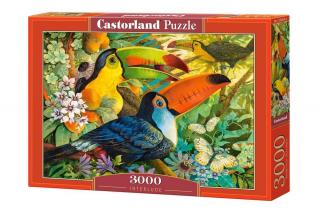 Puzzle 3000 piese Interlude 300433