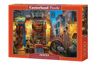 Puzzle 3000 piese Our special place in Venice 300426