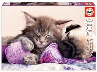 Puzzle 500 piese Dream Companion 17644