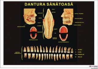 Dantura sanatoasa