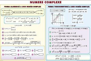 Elemente de logica matematica   Numere complexe (duo)