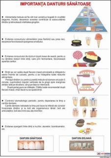 Importanta danturii sanatoase