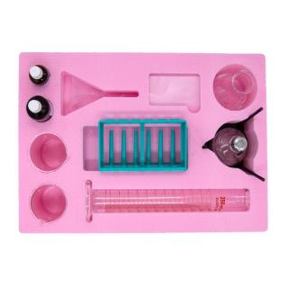 KIT 2. Frunza. Fotosinteza