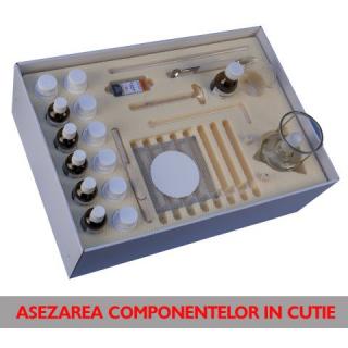 KIT 21. Compusi carboxilici - liceu