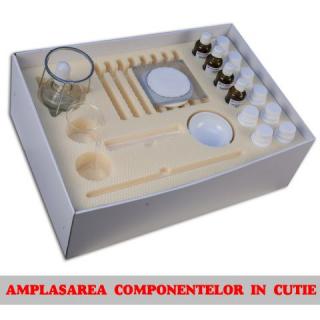 KIT 22. Grasimi. Sapunuri. Proteine - liceu