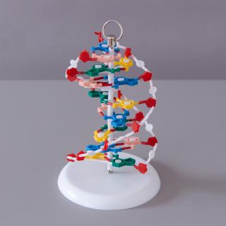 Model ADN, inalt de 20 cm