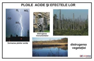 Ploile acide si efectele lor