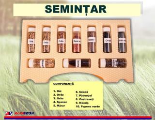 Semintar