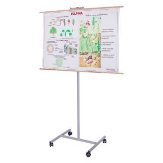 Suport pentru Planse si Harti Reglabil - 1800 mm inaltime